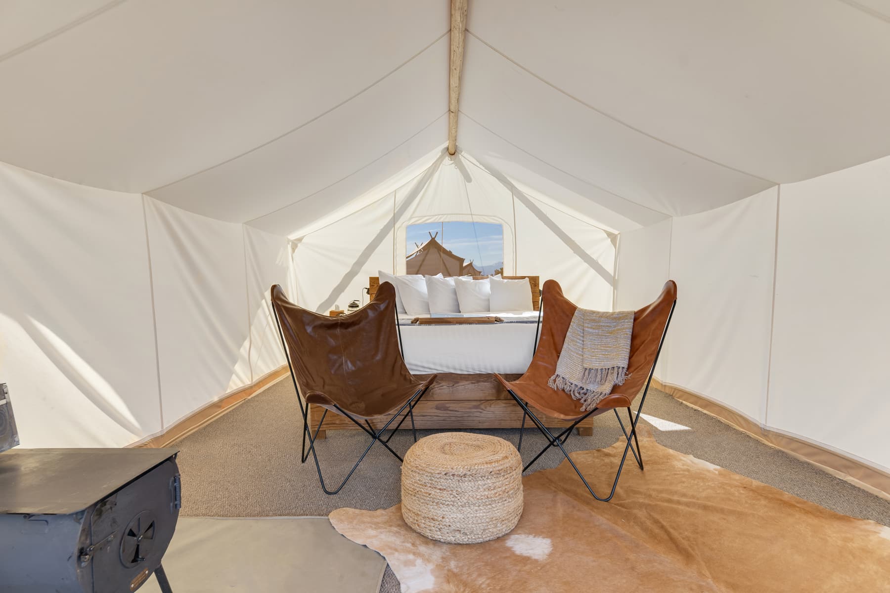 Safari King Interior