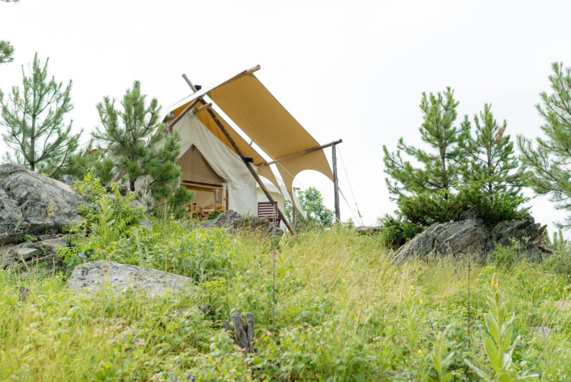 A canvas tent stands pitched on a rocky hill amidst tall grasses and pine trees at Under Canvas Mount Rushmore.