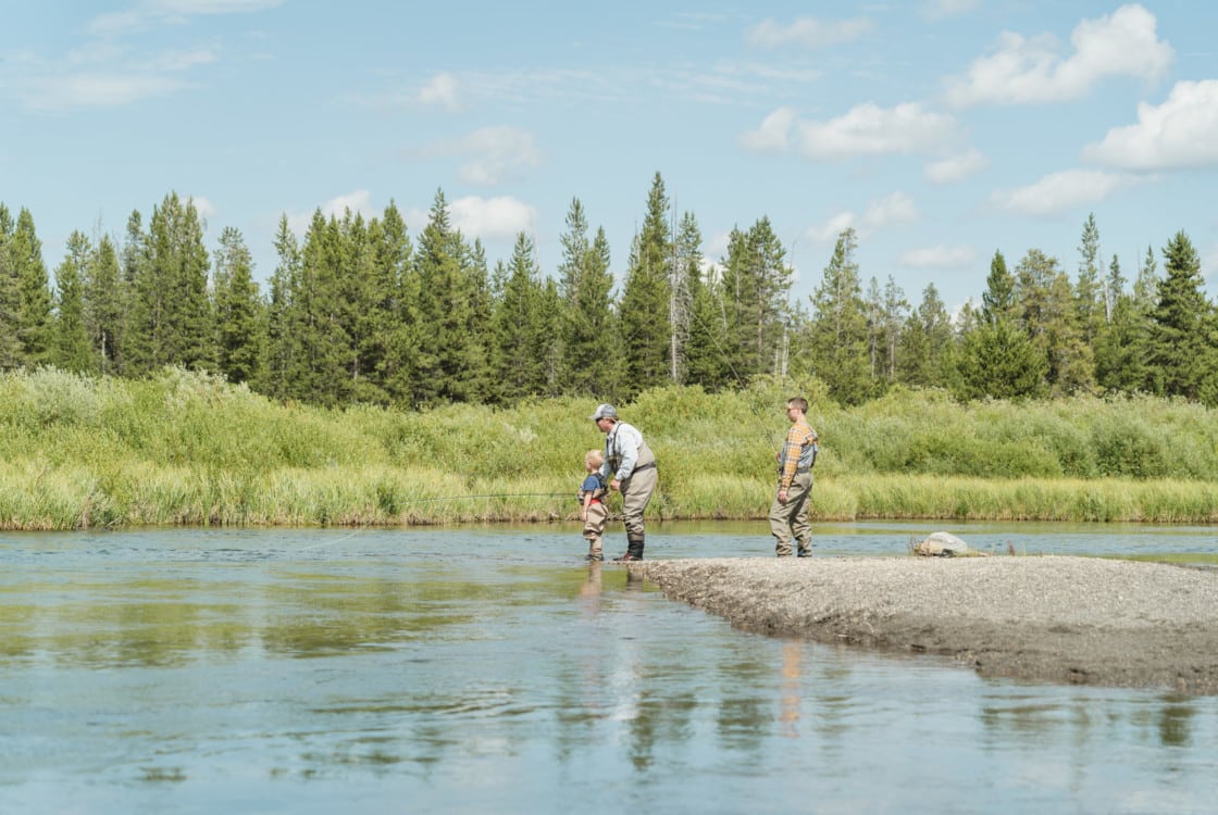 Fly Fishing Madison River near Yellowstone National Park