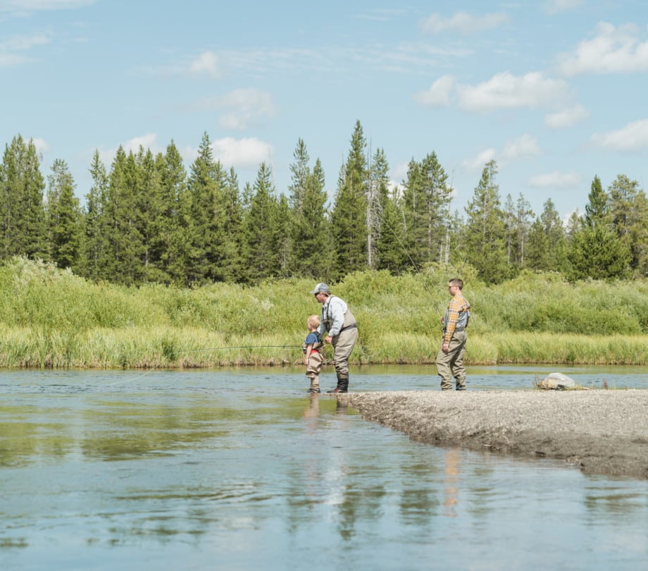 Fly Fishing Madison River near Yellowstone National Park