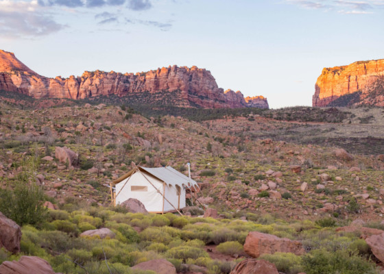 Under Canvas Zion