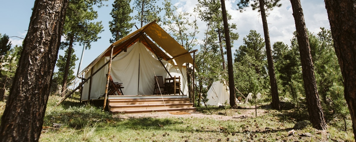 Under Canvas Tent in the Black Hills Surrounded by Trees