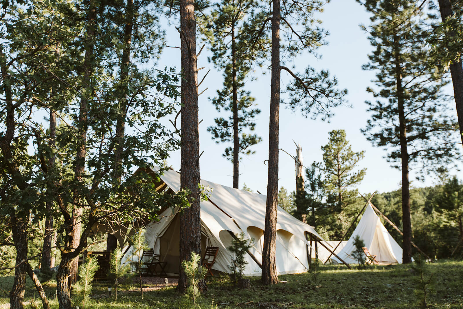 Luxury Glamping Tent with Hive Surrounded by Trees at Under Canvas Rushmore