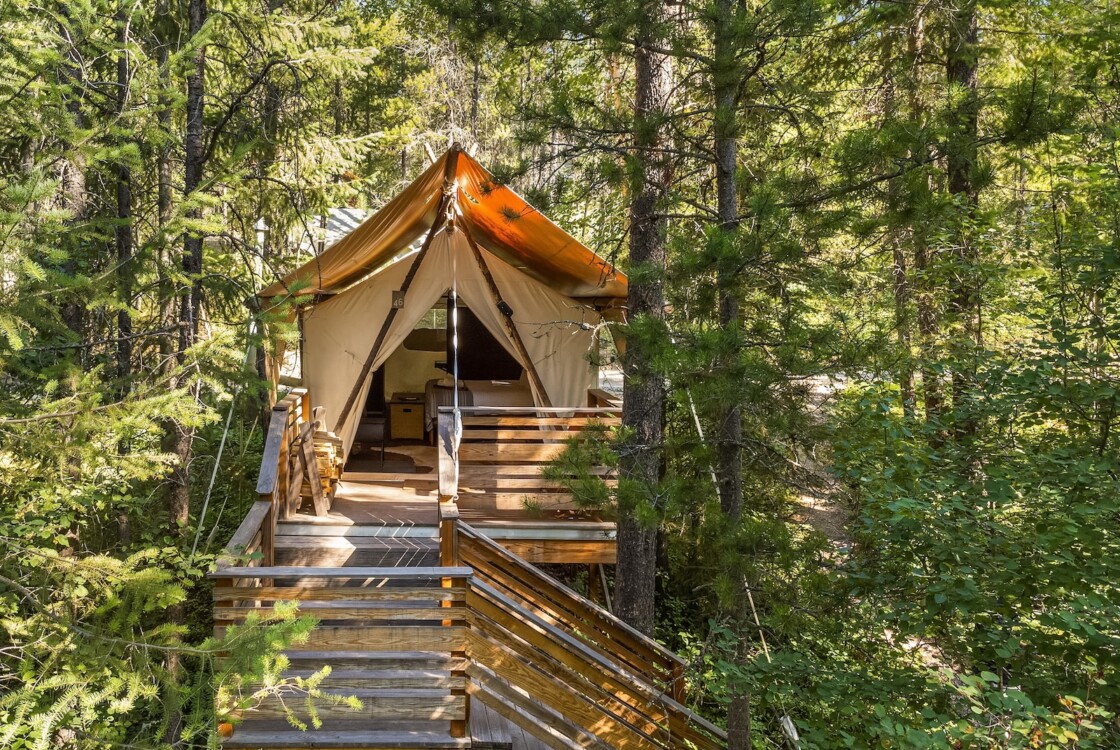 Under Canvas tent in the woods.