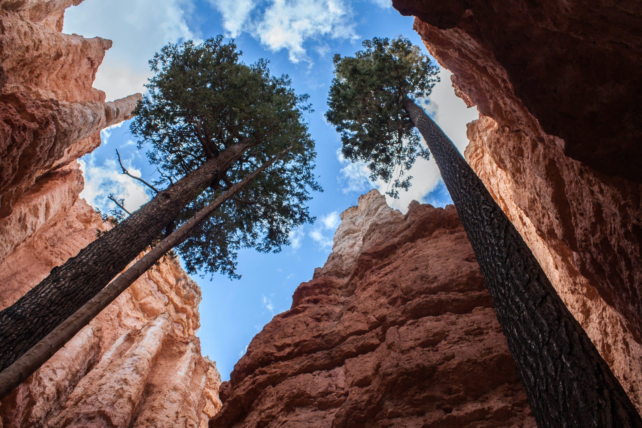 Zion & Bryce Canyon Women's Hiking & Upscale Camping