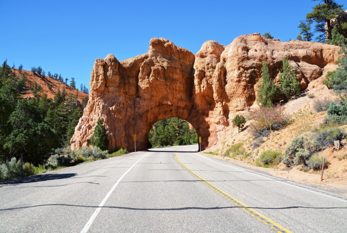 Road in Bryce Canyon National Park