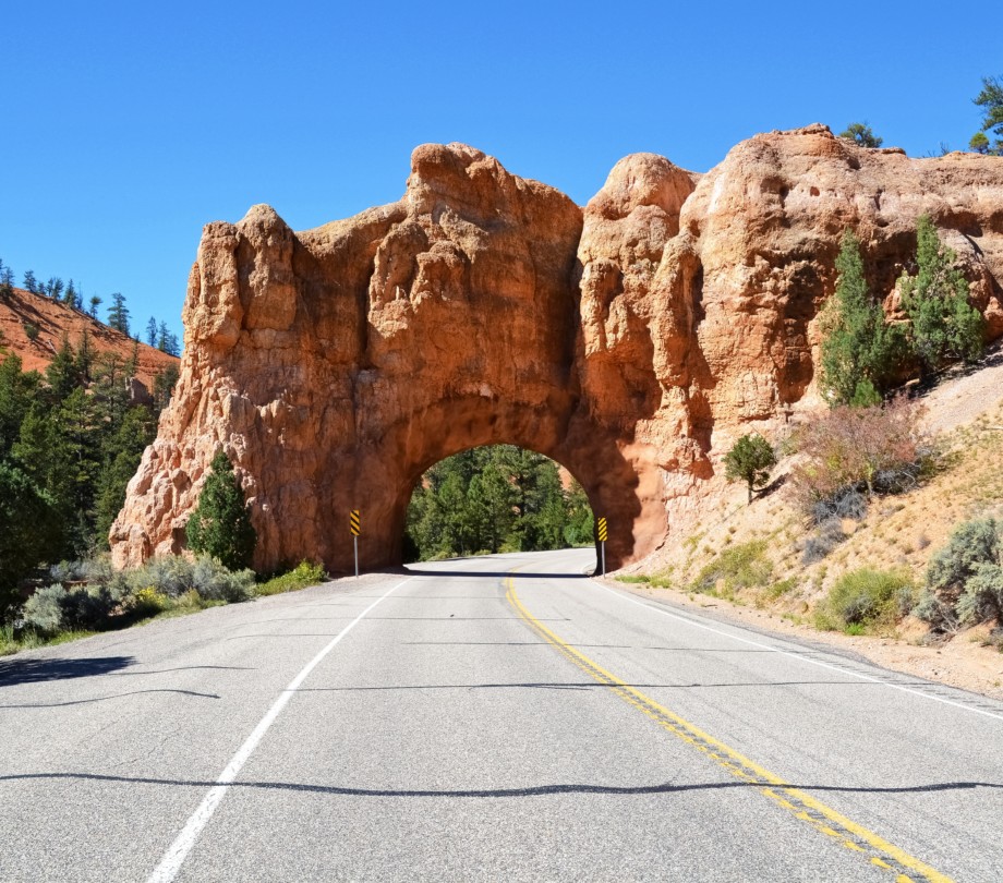 Road in Bryce Canyon National Park