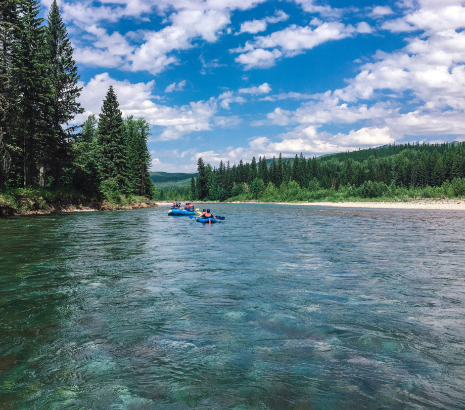 Whitewater rafting flathead river in the summer