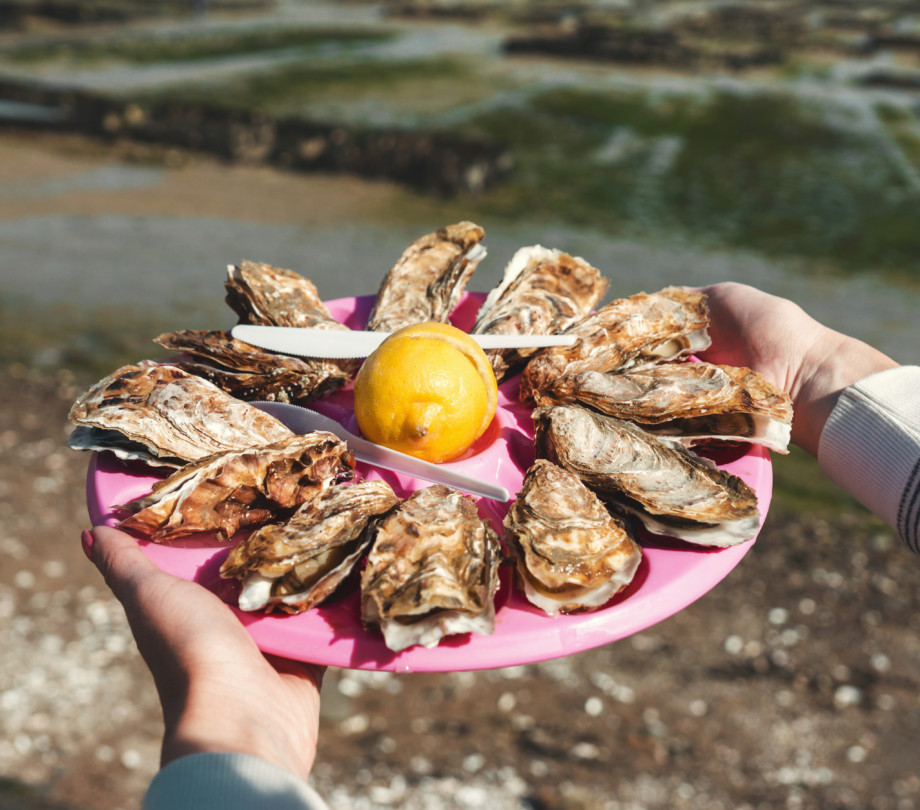 Oysters at oyster farm