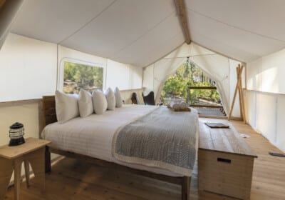 king bed with view deluxe tent yosemite