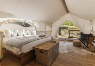 king bed with sky viewing window with view of surrounding forest