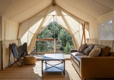 couch and chairs with coffee table in canvas tent with a view of surrounding forest