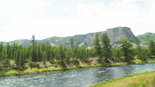 Madison River at Under Canvas Yellowstone