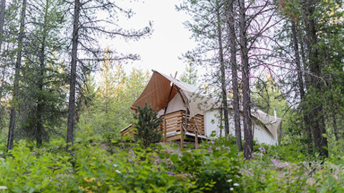 Tent at Under Canvas Glacier