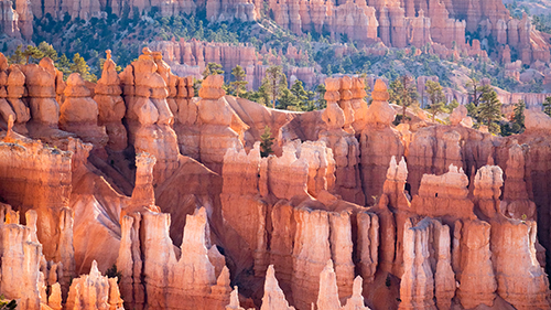 Bryce Canyon Hoodoos