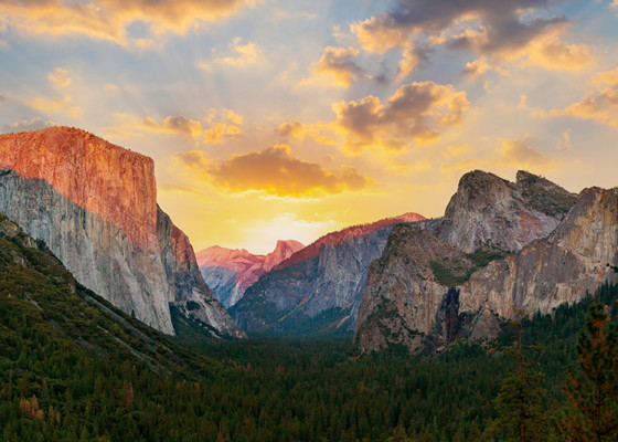 Yosemite National Park