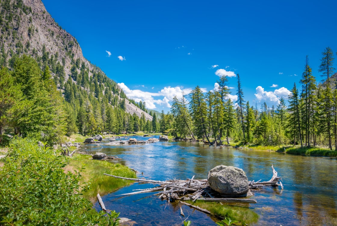 Yellowstone River