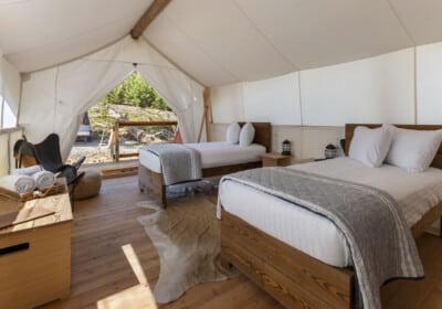 two twin beds in canvas tent
