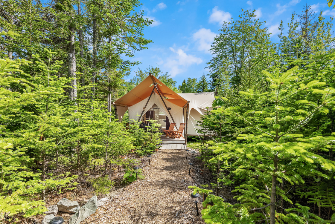 Suite tent in woods at Under Canvas