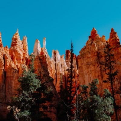 Bryce Canyon Annual Festivals & Events You Don’t Want to Miss
