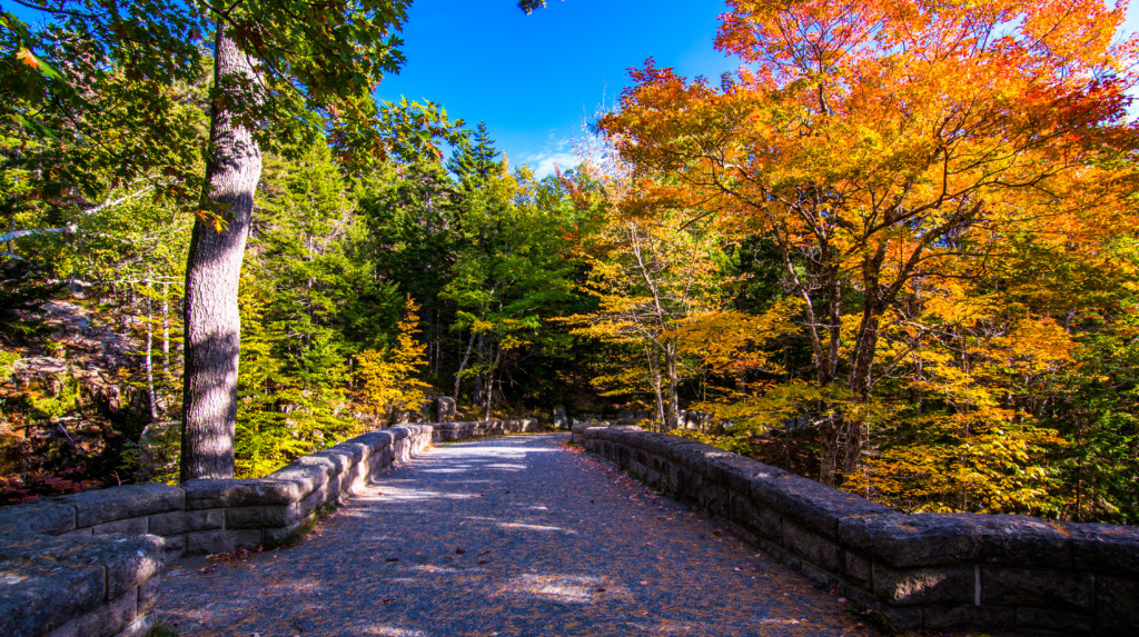 Carriage Road in Acadia National Park