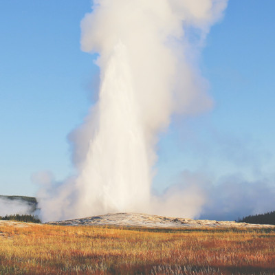 The Wild History of Yellowstone National Park