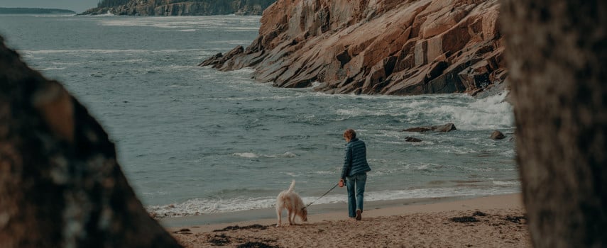 Best Things To Do With Your Dog in Acadia National Park