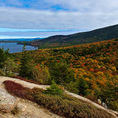 The Ultimate NYC to Acadia National Park Road Trip