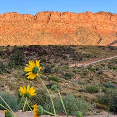 Zion Via Ferrata: What Is It And Why You Should Do It