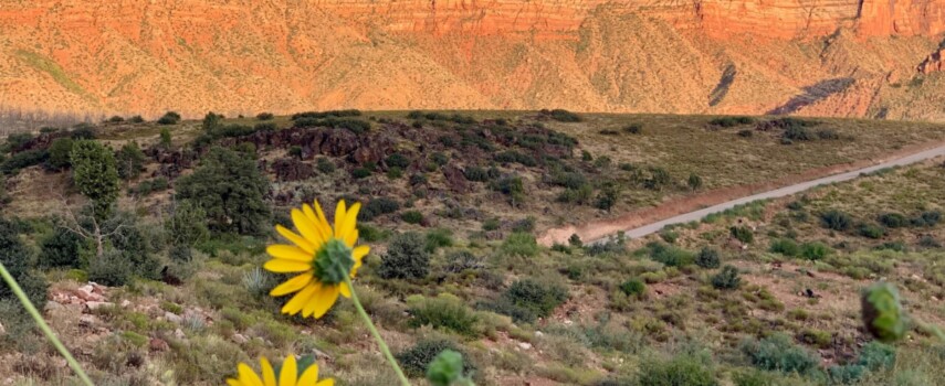 Zion Via Ferrata: What Is It And Why You Should Do It