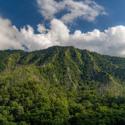 Best Hiking Trails Near the Great Smoky Mountains