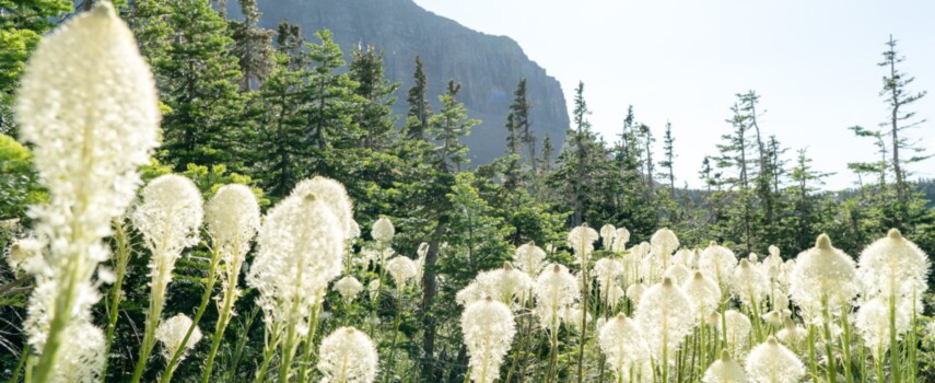 72 Hours in Glacier National Park