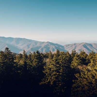 Unique Ways to Experience the Great Smoky Mountains