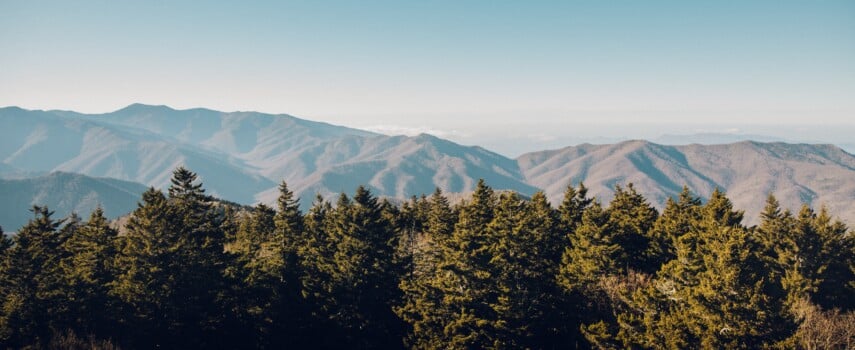 Unique Ways to Experience the Great Smoky Mountains