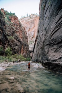 Hiking the Narrows in Zion National park