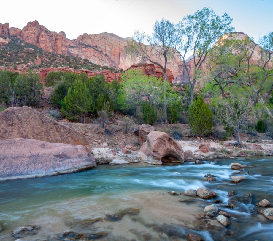 Zion fly fishing