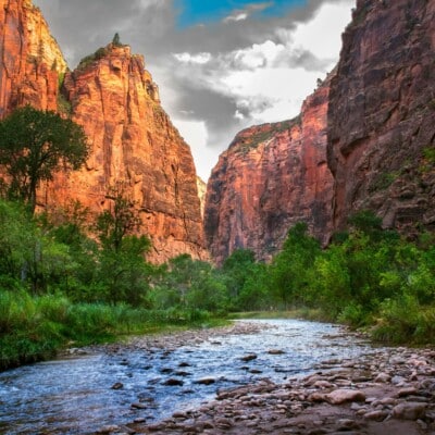 Exploring Zion National Park’s Unique Geology