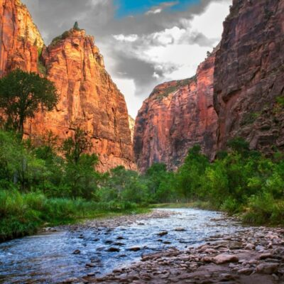Exploring Zion National Park’s Unique Geology