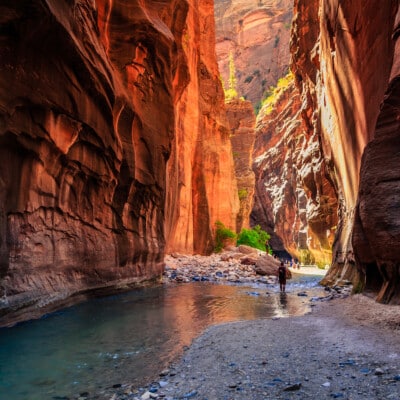 Must Do in Zion National Park: The Narrows Hike