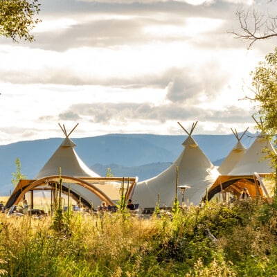 Best Things to Do With Dogs Around North Yellowstone