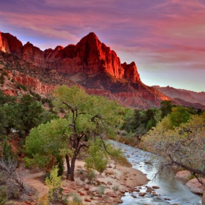 Best Hiking Near Zion: Discovering Lesser-Known Trails