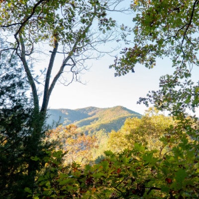 Great Smoky Mountains Fall Colors Guide