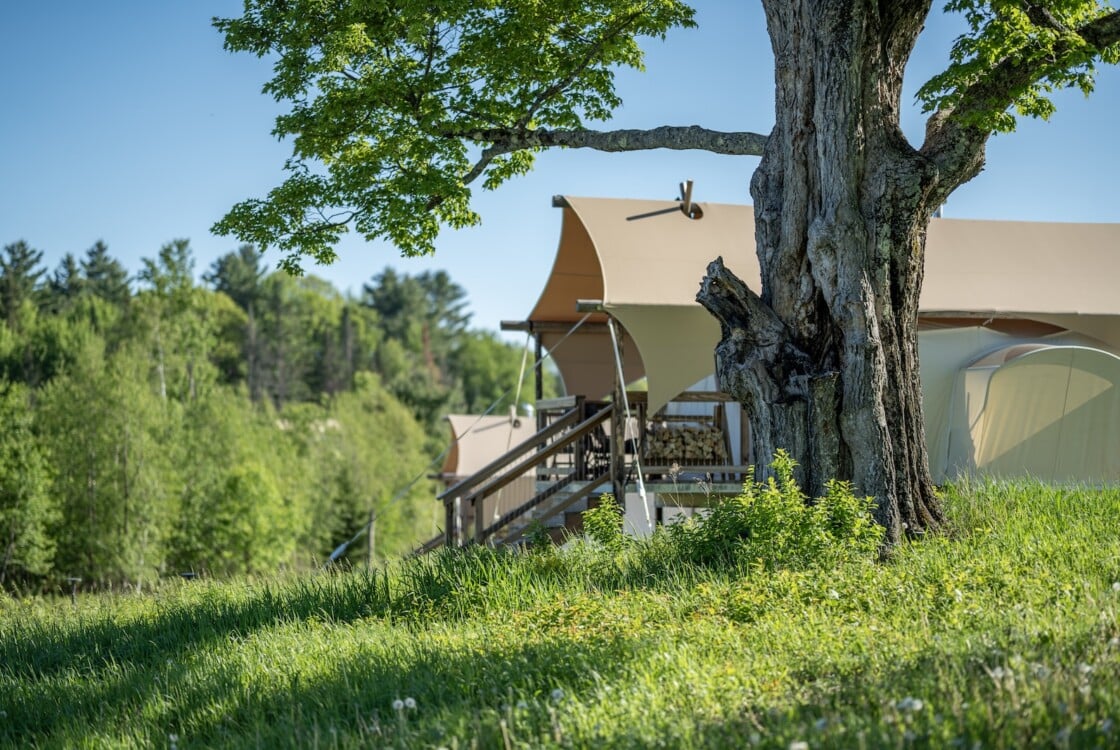 Under Canvas tent behind a big tree.