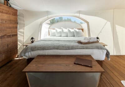 Stargazer tent at Under Cavas White Mountains