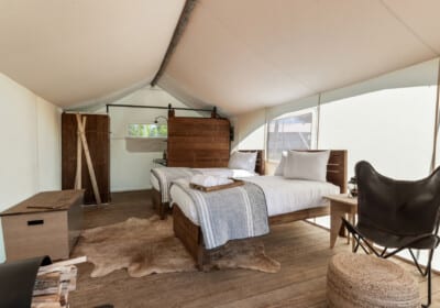 Mount Washington Suite at Under Canvas White Mountains.