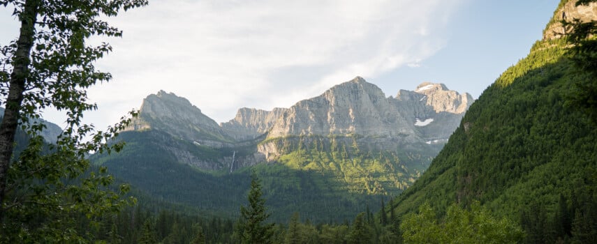 The Ultimate Guide to Glacier Wildlife