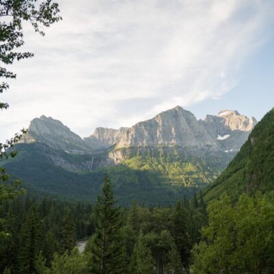 The Ultimate Guide to Glacier Wildlife