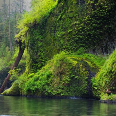 Wild Swimming in the Columbia River Gorge and Yosemite