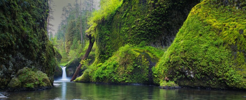 Wild Swimming in the Columbia River Gorge and Yosemite
