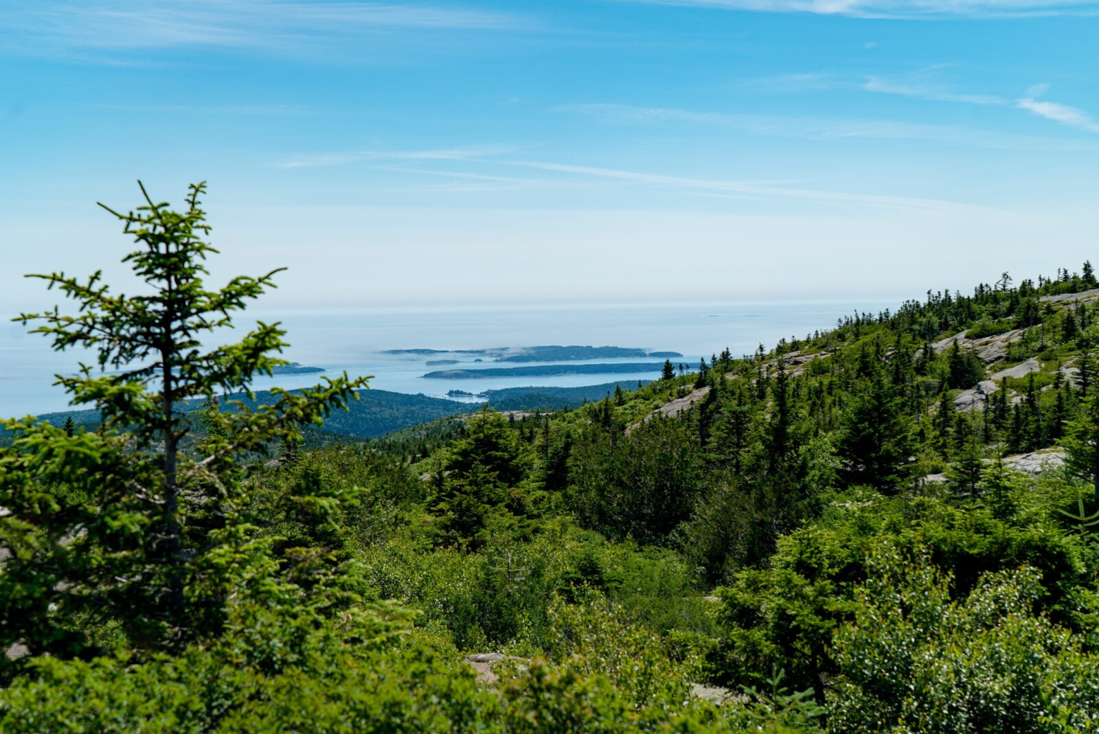 View from the top of Cadillac Mt in Acadia National Park